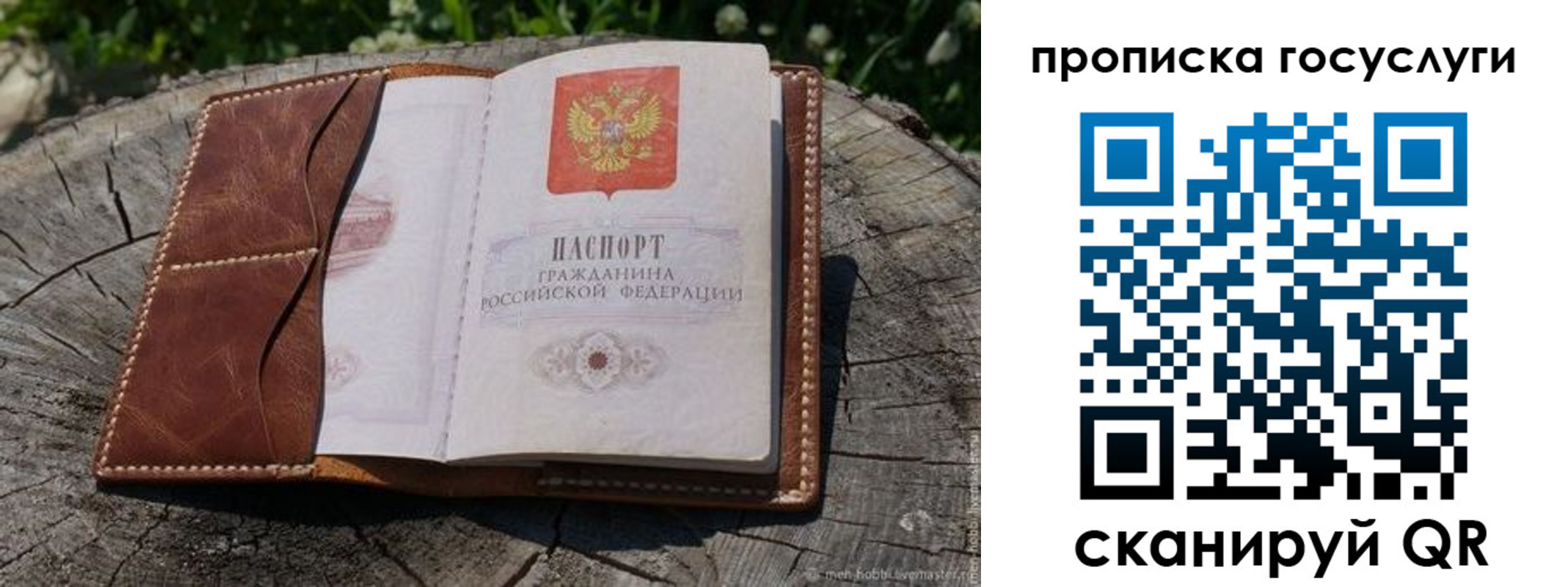 прописка для школы в Минеральных Водах